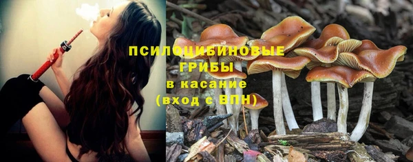 Альфа ПВП Бугульма