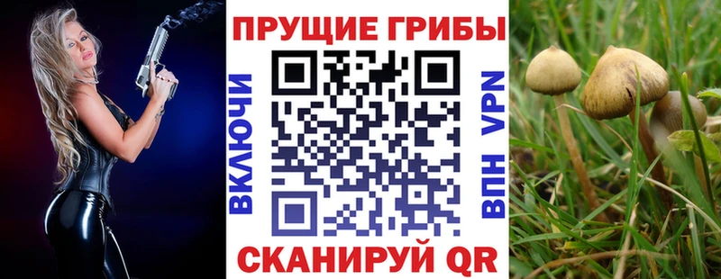 Купить  Нижнекамск  Галлюциногенные грибы мухоморы 